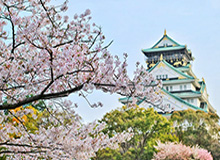 kaiyun-沙拉维导演逆转斩获全场最佳 他并未迷失上海滩